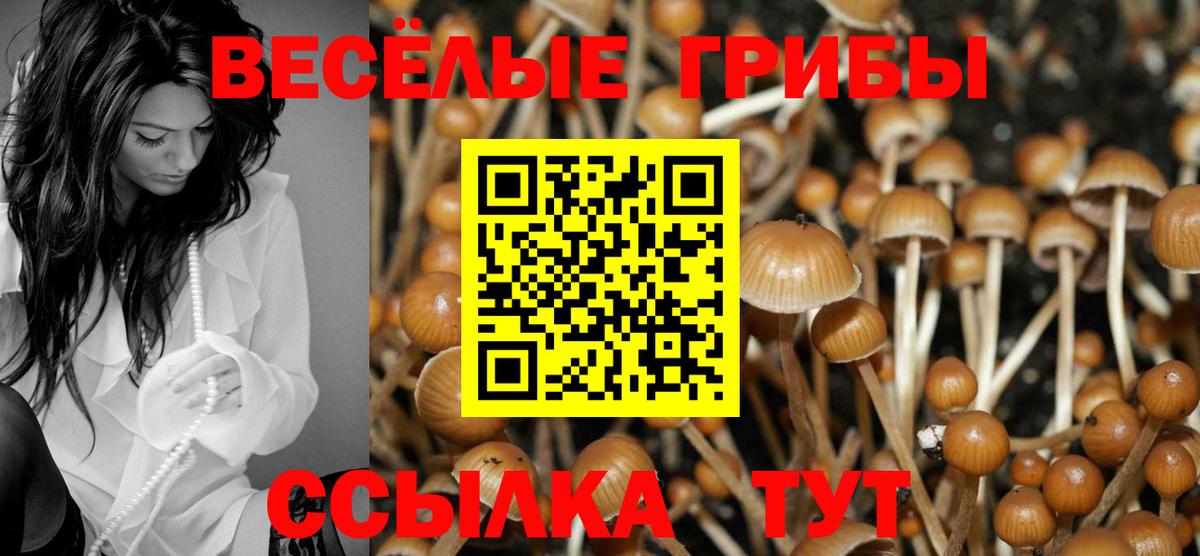 Галлюциногенные грибы прущие грибы  Вход с VPN  Сыктывкар 