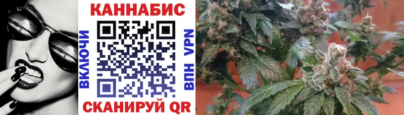 Каннабис гибрид Сыктывкар