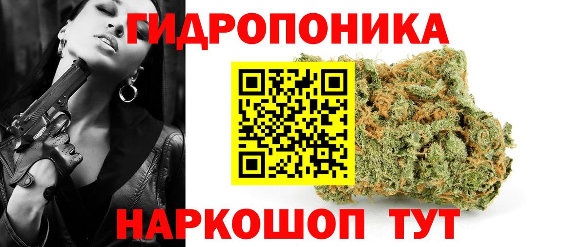 Конопля OG Kush Сыктывкар
